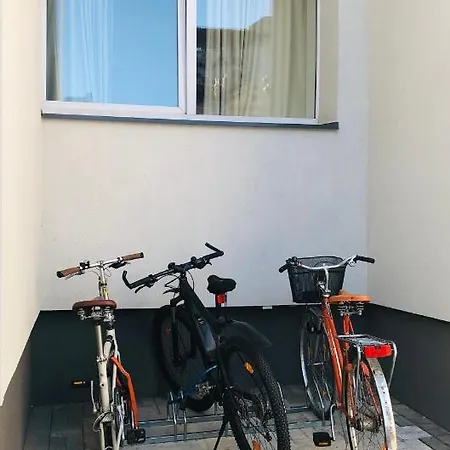 Solo Society Apartment